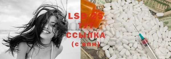 ПСИЛОЦИБИНОВЫЕ ГРИБЫ Алексин