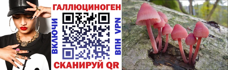 Псилоцибиновые грибы Psilocybine cubensis  Саров 